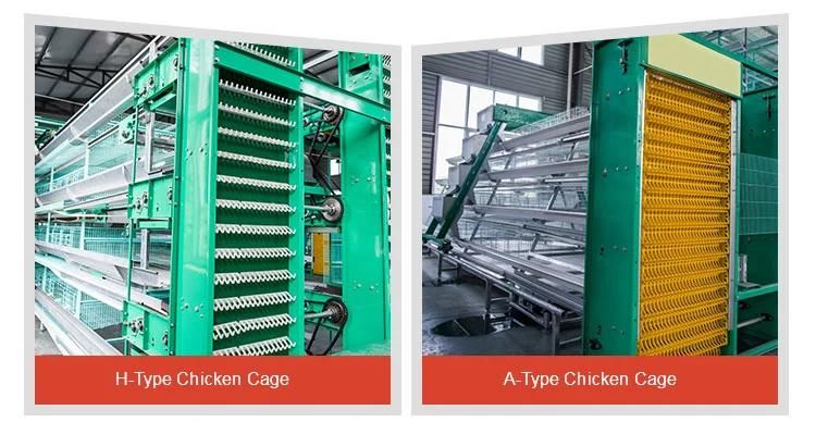 Poultry Chicken Cage Little Chicks Cage 4 Tiers H Type Dual System Raising Farming Equipment