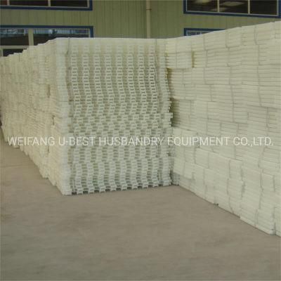 Pure PP Poultry Farm Chicken Slatted Floor for Broiler/Breeder/Layer