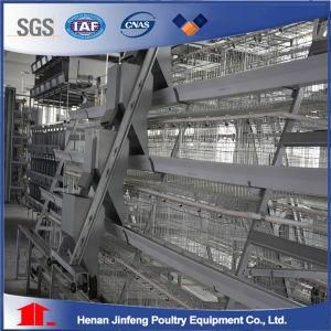 Hot Dipped Galvanized a Type Chicken Layer Cage