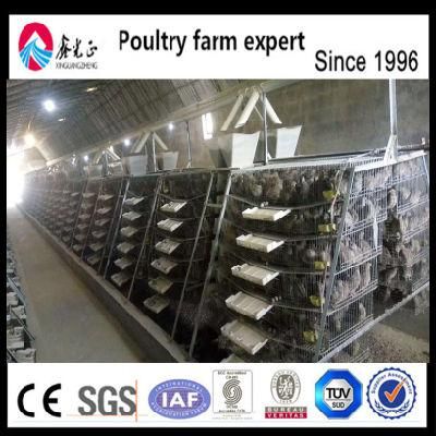 6 Layer 400 Quails Galvanized Wire Mesh Quail Cage Conforms with Healthly Reasonable for Poultry Cage Hj-QC400A
