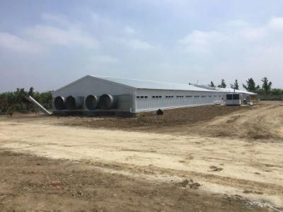 China Low Cost Steel Frame Chicken Layer Duck Breeding Farming House