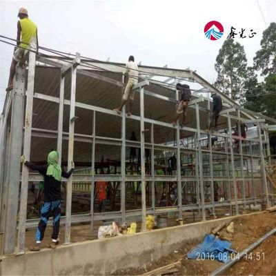 Steel Structure House with Full Set Automatic Equipment in Livestock