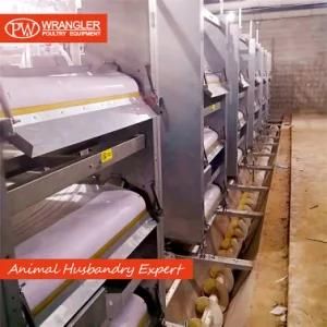 Good Price Automatic Poultry Farm Equipment Broiler Chicken Battery Cage Cheap
