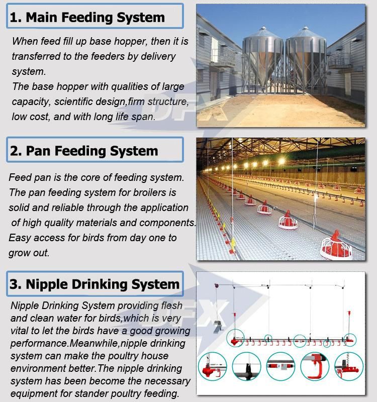 New Designed Technical Global Selling Steel Structure Poultry House