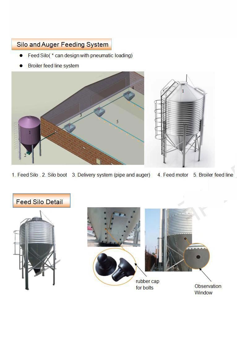 New Poultry Farm Automatic Baby Chicken Flat Raising Equipment