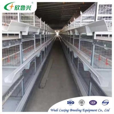 High Quality Machine Husbandry Equipment Cheap Poultry Cage Used Broiler Farm Project