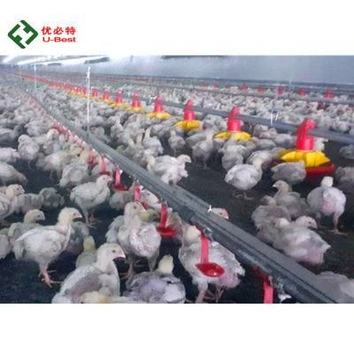 Automatic Broiler Chicken Shed Feeder and Drinker From Weifang U-Best