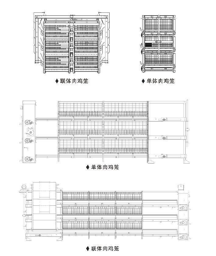 Automatic H Type Poultry Battery Cage for Layer Chicken Poultry Farm