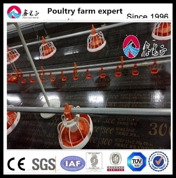 China Low Cost Steel Frame Chicken Layer Duck Breeding Farming House