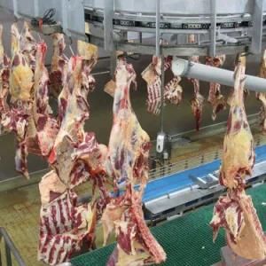 Butcher Killing Line Goat Slaughter Equipment Halal Slaughterhouse Machine with Omasum Washing Machine