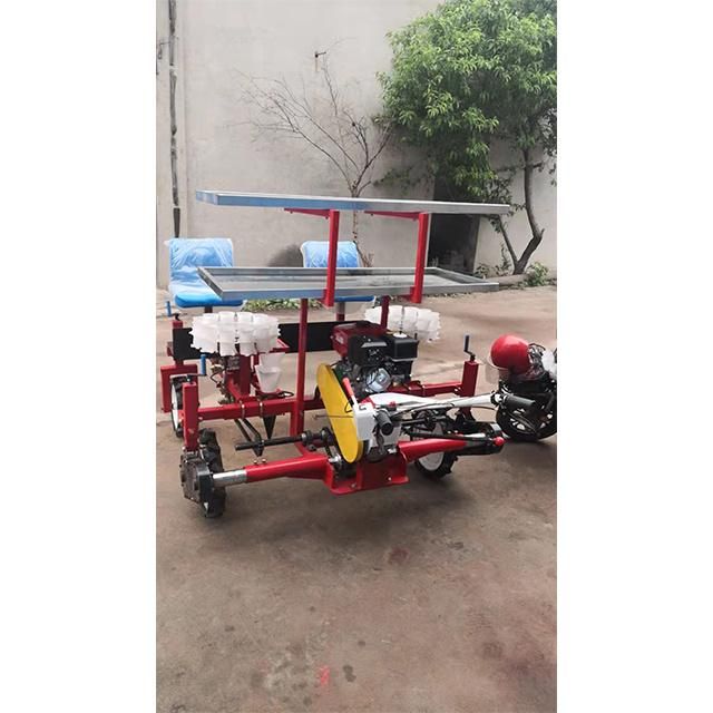 Vegetable Planter Seedling Transplanter Seedlings Transplanting Machine