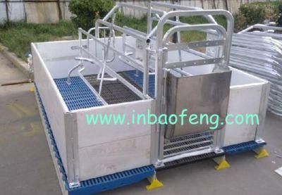 Galvanized Pipe and PE Plate Materials Pig Farrowing Crates