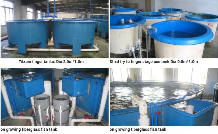 2000L Tanks for Fish Farming Aquaculture Tanks