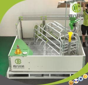 Plastic Crate Pig Breeding and Farrowing Crate Piggery Eequipment