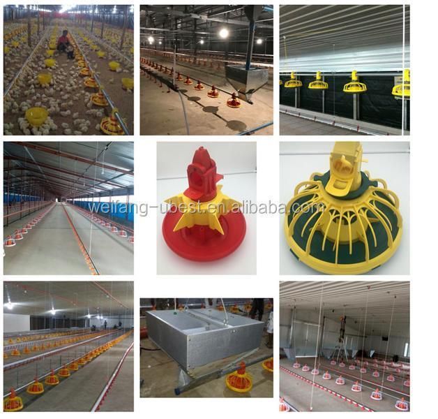 Electrical Control Poultry Farm Equipment for Broiler Chicken