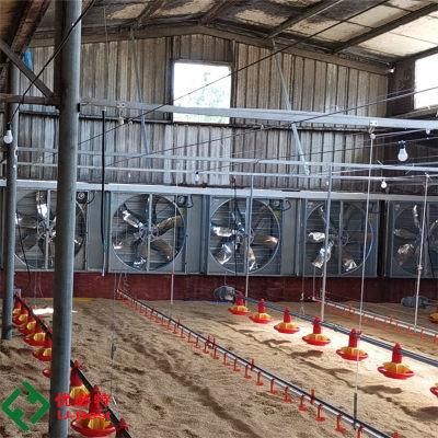 Automatic Farming Chicken Broiler Poultry Farm Machinery Equipment