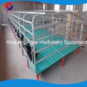 Best Sell Pig Farm Design Pig Gestation Stall Crate for Sale