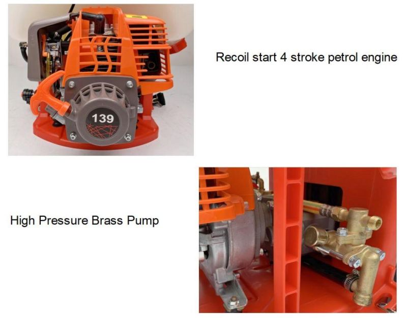 Hot Sales 4 Stroke/2 Stroke Gasoline Engine Agriculture Spray Machine Knapsack Power Sprayer TF-808