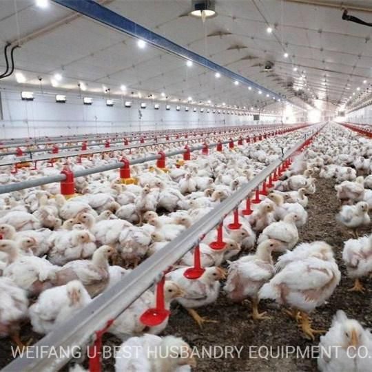 Broiler Chicken Floor Feeding System/Feeder Pan System