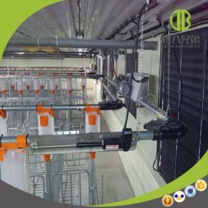 High-Efficiency Modern Pig Farm Used Automatic Feed Delivery System