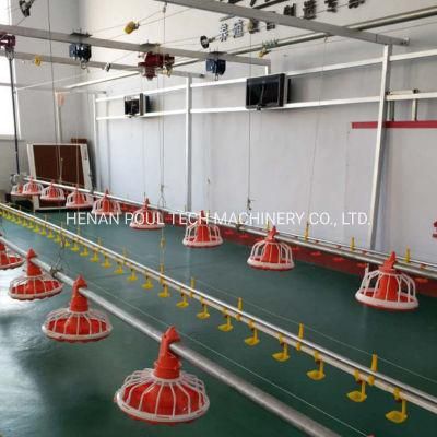 Battery Farm Chicken Feeding and Drinking System