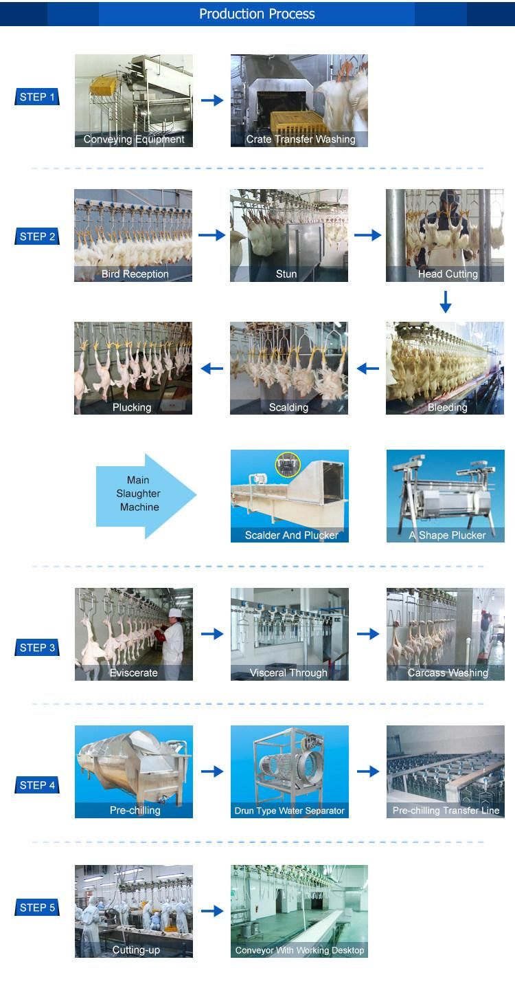 Chaine D′abattage Poulet De Complete Chicken Duck Goose Slaughter Abattoir Machine for Sale