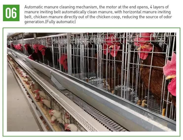 Fully Automatic Poultry Farm Galvanized Wire Layer Egg Chicken Battery Cage System