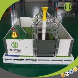 Hot DIP Galvanized Farrowing Crate for Sale