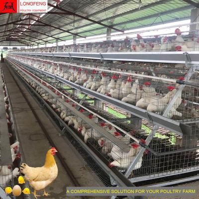 275g Hot Galvanized Wire Mesh and Sheet Egg Battery Chicken Cage