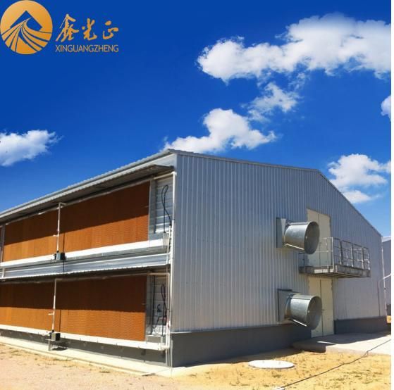 Low Cost Pre-Engineered Steel Structure Poultry Hose