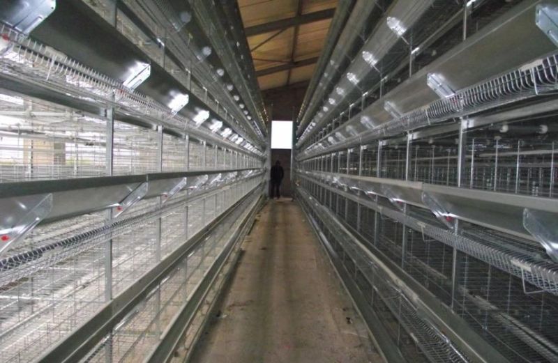 Farm Automatic Equipments