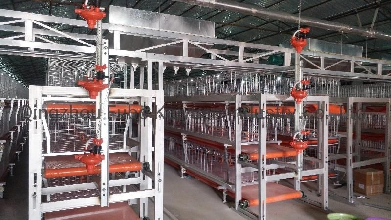 Chicken House/Poultry Equipment Cage System/Drinking Line/Poultry Farm Layer Cages for Broiler/Poultry House