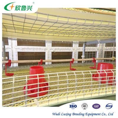 Automatic Laying Hen Poultry Farm Breeding Equipments Layer Battery Chicken Poultry Cage