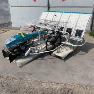 Walking Type Behind 4 Rows 6 Rows Automatic Mechanical Rice Transplanter