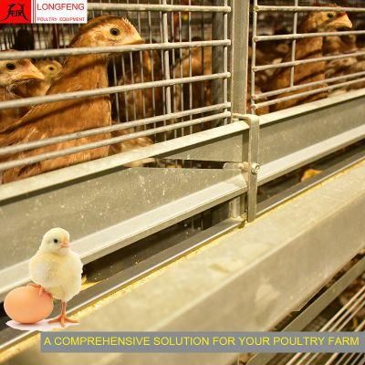 Poultry Farming Hot Galvanized Longfeng Incubator Pullet Layer Chicken Cage