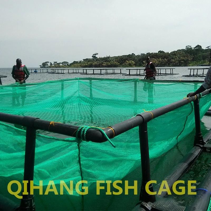 HDPE Floating Fish Aquaculture Cage in Africa