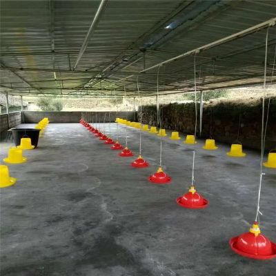 New Designed Technical Modern Automatic Steel Poultry Equipment