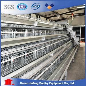 Jinfneg a Type Automatic Chicken Cage System for Poultry Farm