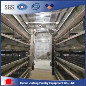 Auto Feeding System Chicken Laying Cage/Full Automated Poultry Battery Cages