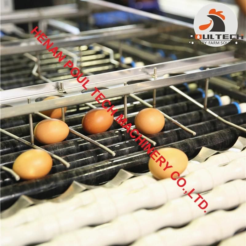 Egg Packing Machine with Capacity of 15000 Eggs Per Hour