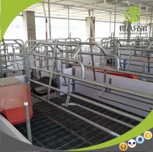 Pig Farm Equipment Classic Farrowing Crate European Style
