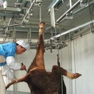 Bovine Slaughterhouse Equipment for Halal Abattoir