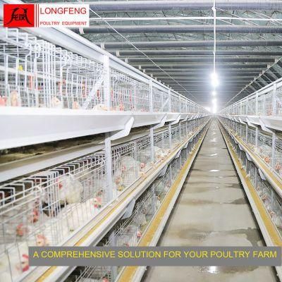 Mature Design Hatching Machine Broiler Chicken Cage for Asian Farm