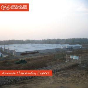 Steel Structure Chicken House for Automatic Poultry Farm Equipment