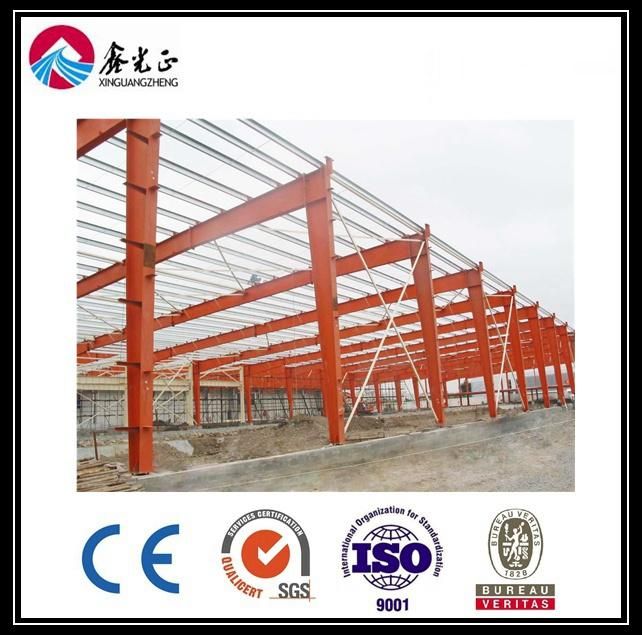 Best Design Low Cost Steel Structure Farm Storage (BYSS-220521015)