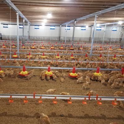 Automatic Poltry Farm for Turnkey Poultry Projects and Broiler