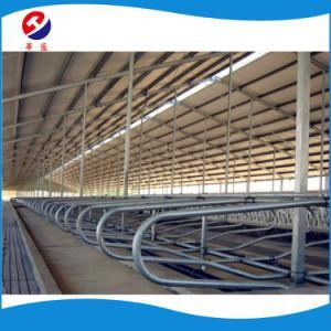 Hot Dipped Galvanized Tube Cattle Free Stalls Free Sample