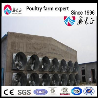 Steel Structure Shed Design Automatic Poultry Feeders and Drinkers Farming Equipment Chicken House