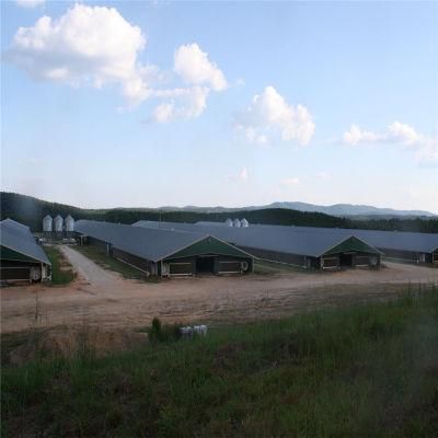 Quickly Installation Big Output Full-Automatic Steel Poultry Farm Machines