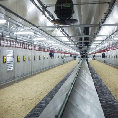 Scientific Designing Factory Price Hot Sale Poultry House Equipment